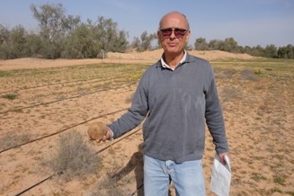 Cultivation of Desert Truffles—A Crop Suitable for Arid and Semi-Arid Zones