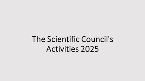 The Scientific Council's Activities 2025