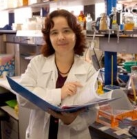 המדריך לראיה טובה