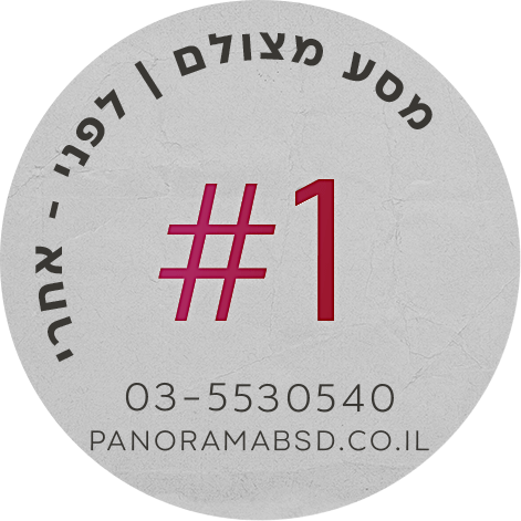 פנורמה מהשטח 1