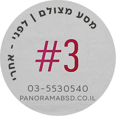 פנורמה מהשטח 3