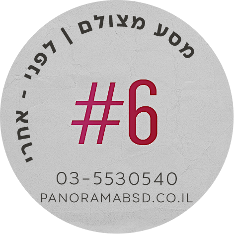 פנורמה מהשטח 3