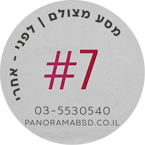 פנורמה מהשטח 7