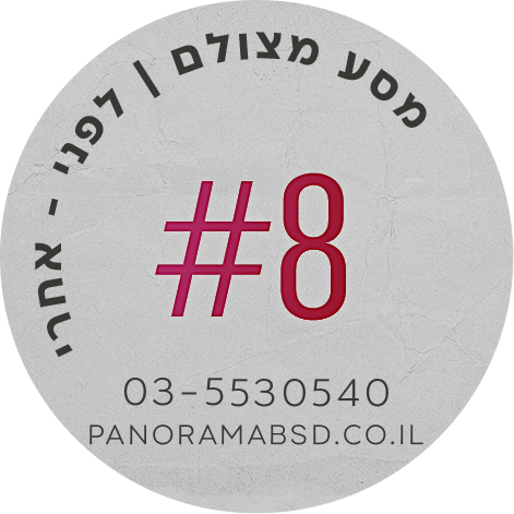 פנורמה מהשטח 3