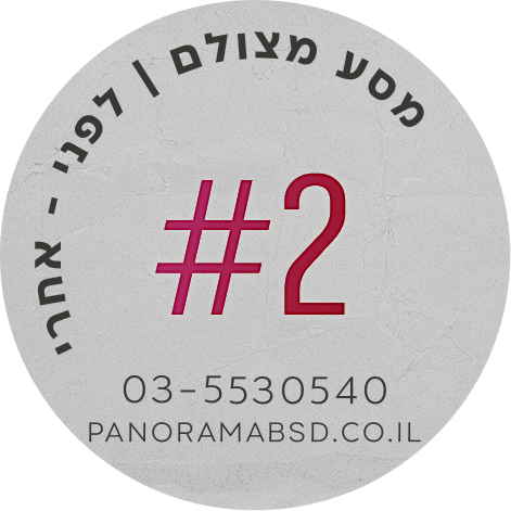 פנורמה מהשטח 1