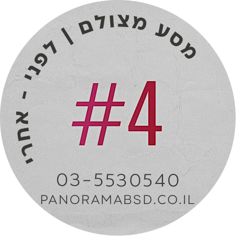 פנורמה מהשטח 3