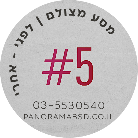פנורמה מהשטח 3