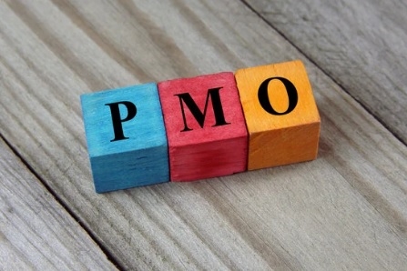 התפקידים המרכזיים של ה- PMO בארגון