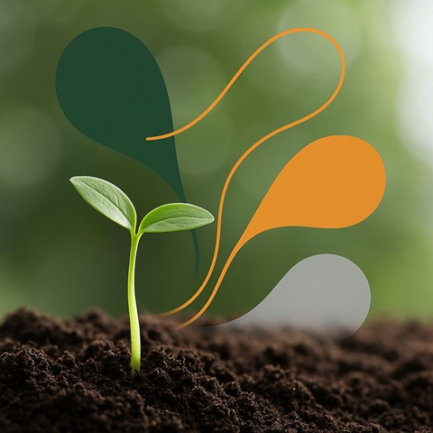 סבלנות ניהולית בעולם ללא זמן: בין שליטה להבשלה