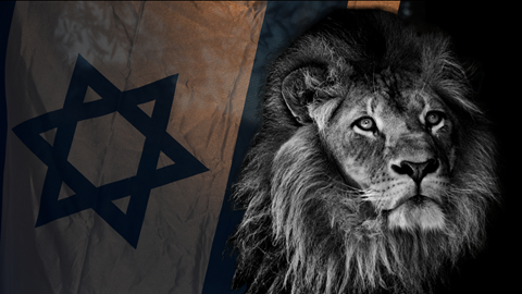 מענקי פיצויים – עם כלביא