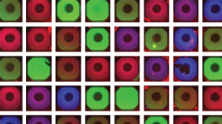 Fluorescent image of artificial cells on a chip. The differences in genetic composition between cells produced the different colors, which reveal stages in building parts of a virus