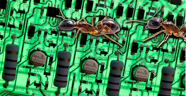 The same forces that allow ants to walk on walls cause sticky problems for electronic components