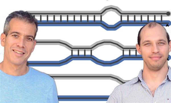 (l-r) Prof. Eran Segal and Ilya Slutskin are uncovering the basis of RNA binding