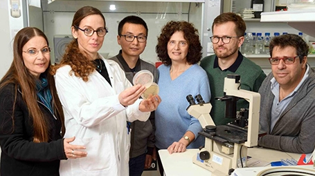 (l-r) Drs. Sagit Meir, Elisa Korenblum, Yonghui Dong, Ilana Rogachev, Adam Jozwiak and Prof. Asaph Aharoni