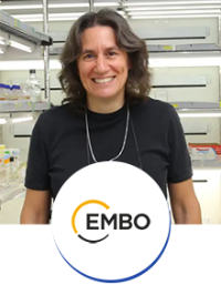 Technion scientist