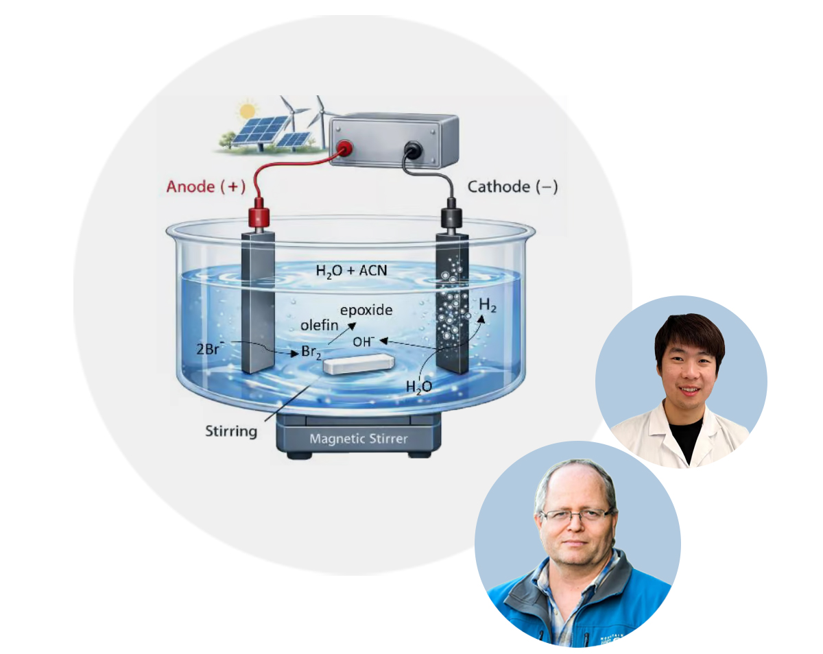 Technion environmental research