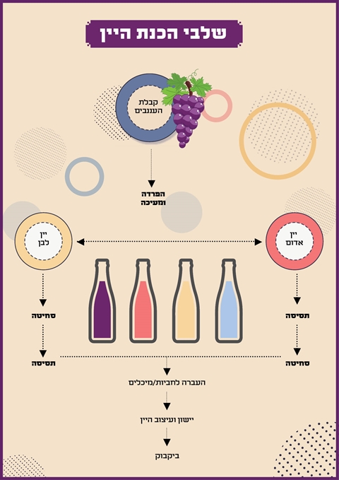 תרשים סיכום תהליך יצירת היין